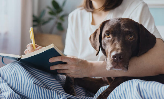 Woman cross-legged writing in journal with chocolate lab dog