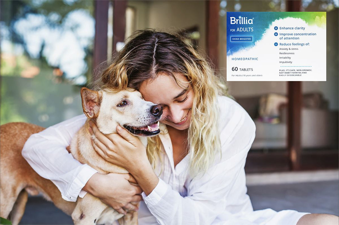 Brillia for Adults: How to Start & What to Expect When Taking Brillia