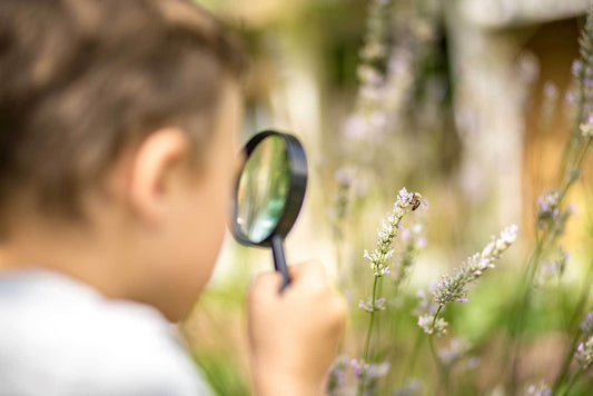 Young boy looking at flower with magnifying glass.