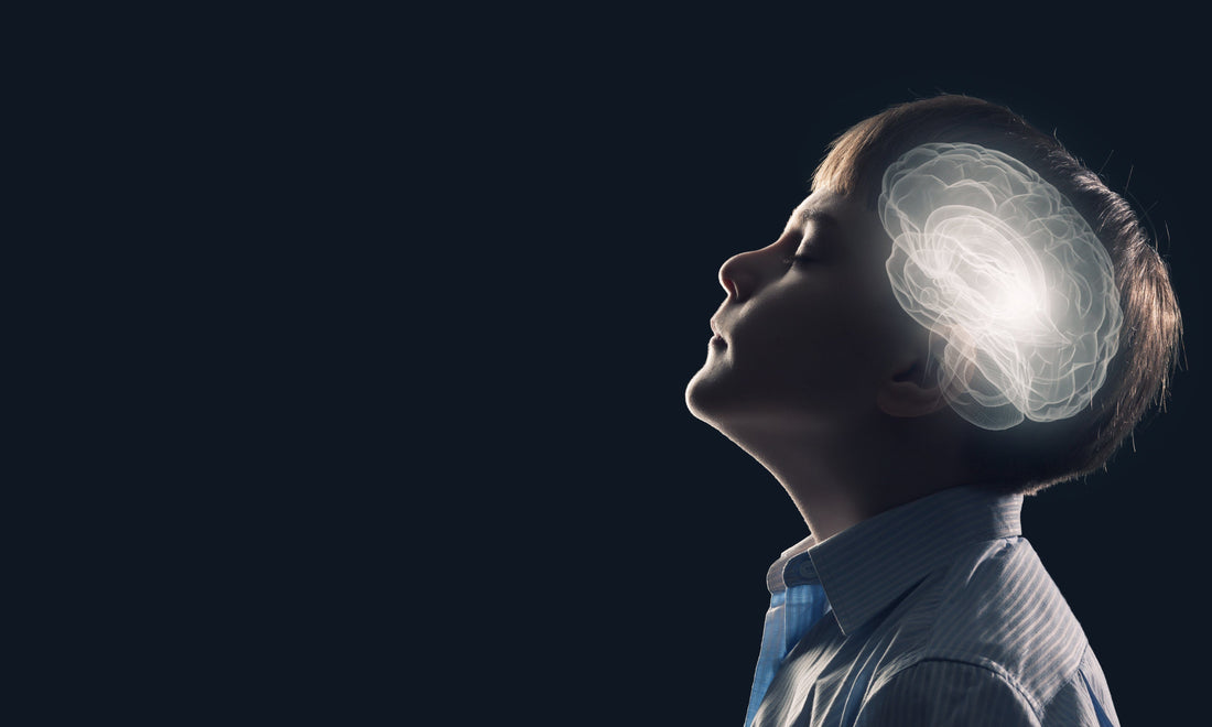 anxiety and the brain