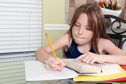 Using a Notebook to Limit Screen Time for School