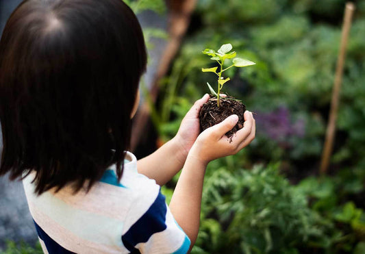 Child outside holding a plant