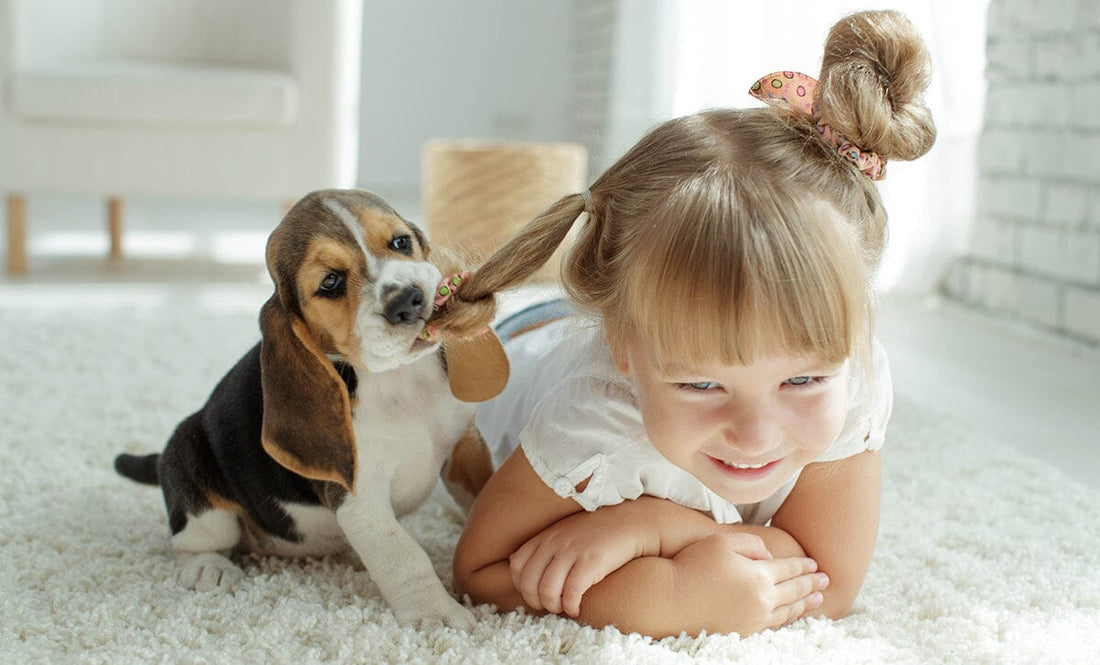 Best Pets to Reduce Anxiety for Children & Adults