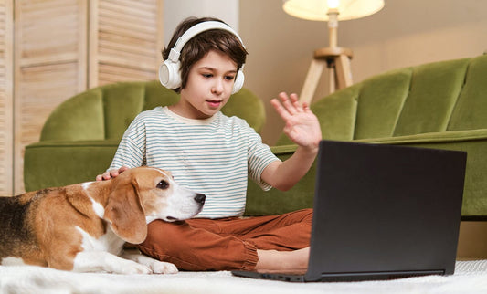 Boy with beagle on floor with computer