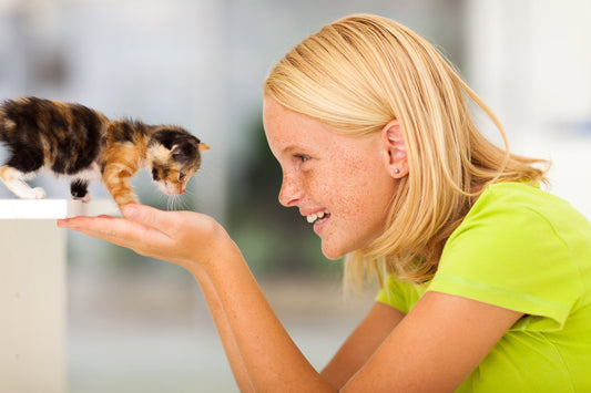 Random Acts of Kindness Ideas for Kids - volunteering at an animal shelter